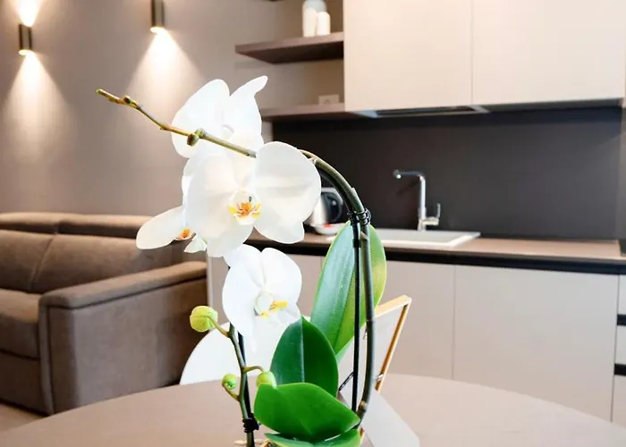 The Corner Elegant Апартаменты Бергамо