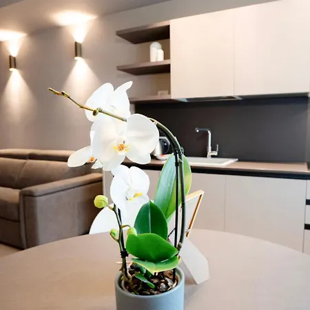 The Corner Elegant Apartment Bergamo